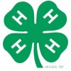 clover large for blowing up
