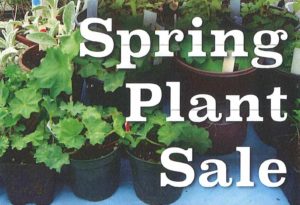 Spring plant sale