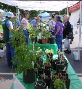 Cover photo for 24th Local Gardener’s Spring Plant Sale April 28th