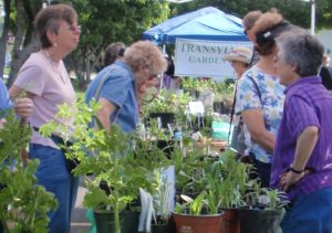 Cover photo for Transylvania Gardening Groups Spring Plant Sale 2019!
