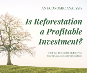 Cover photo for Is Reforestation a Profitable Investment?