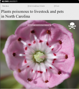 Cover photo for Web-Based Guide to Plants Poisonous to Livestock