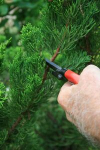 Pruners