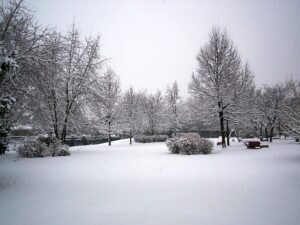 Cover photo for January Garden Tasks in Transylvania County