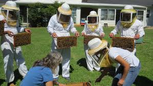 beekeeping training