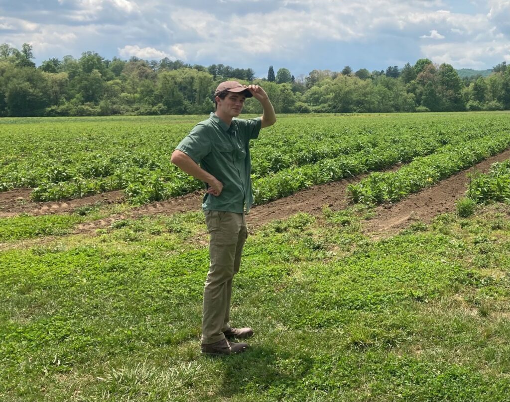 Man in field