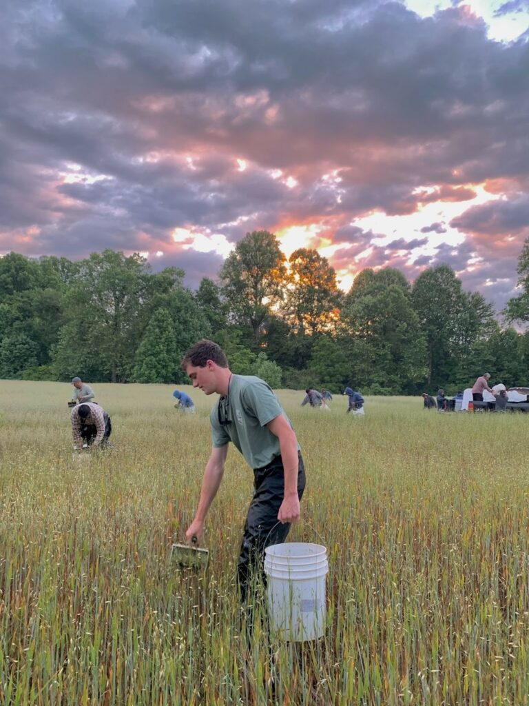 Man carrying bucket in field