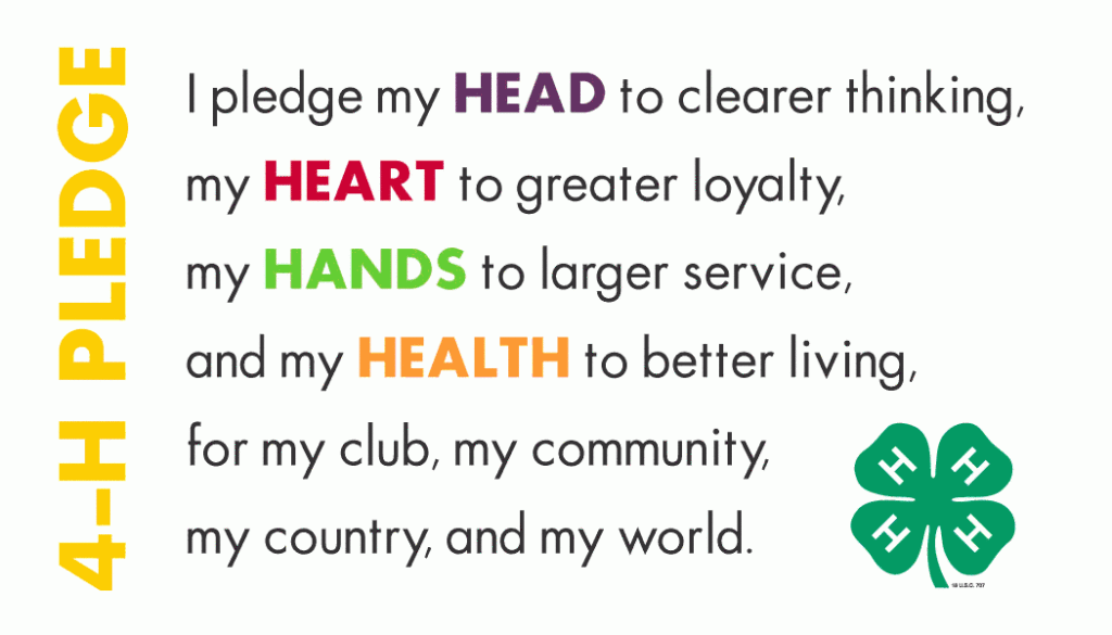 Written description of 4-H Pledge. Image reads: I pledge my head to clearer thinking, my heart to greater loyalty, my hands to larger service, and my health to better living. For my club, my community, my country, and my world.