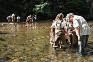 French Broad River Stewards