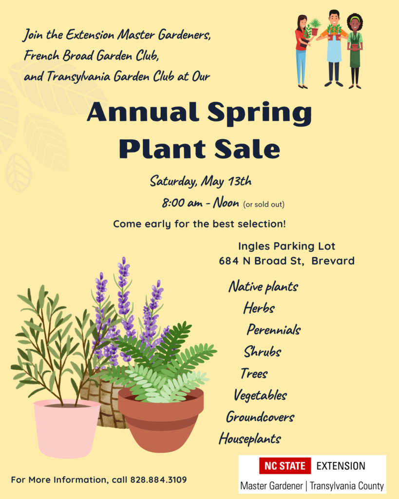 Spring Plant Sale flyer