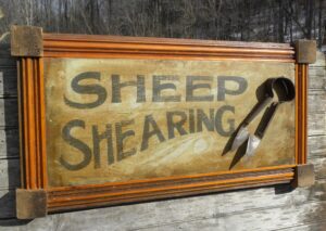 Cover photo for North Carolina Sheep Producers Association Shearing School
