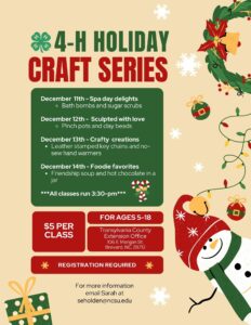 Cover photo for 4-H Holiday Craft Series