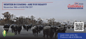 Cover photo for Cattlemen's Webinar Series - November Program