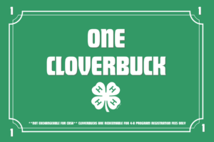 Cover photo for Introducing Cloverbucks!