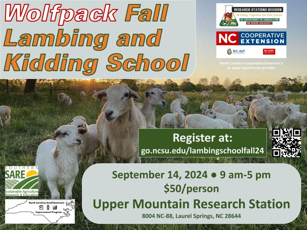 Lambing school flyer