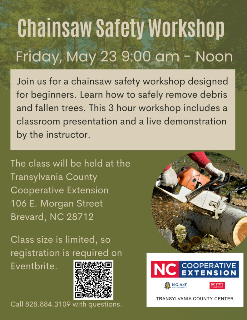 Chainsaw Safety Workshop Flyer