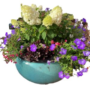Cover photo for Containter Gardening for All Seasons