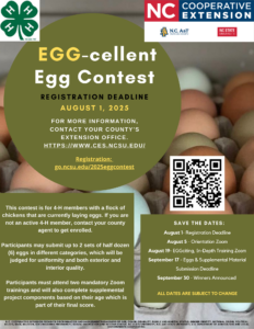 Flyer for the egg-cellent egg contest