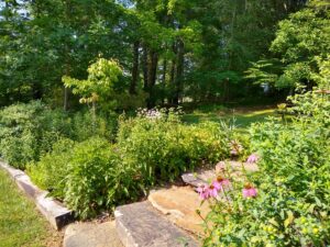 The Transylvania County Master Gardener Volunteers are excited to announce a series of four free Demonstration Garden Tours, offering the public a unique opportunity to explore diverse gardening practices and learn from experienced volunteers. The first tour kicks off at the Allison-Deaver House on Wednesday, June 18th, from 9:30 AM to 11:00 AM. Master Gardener Volunteers will be on hand at the Allison-Deaver House to provide guided tours of the newly relocated demonstration gardens and answer your gardening and plant questions. The Allison-Deaver House gardens, originally focused on historically used medicinal and dye plants, faced challenges from encroaching black walnut trees and their plant-stunting chemical, juglone. In 2024, the gardens were moved to a new, sunnier location near the parking lot accessed from NC 280. The new design emphasizes "Useful Plants," featuring labels that identify plants for their historical dye or medicinal uses. Visitors will discover how plants once considered "weeds," like lady's bedstraw, Galium verum, served vital purposes in earlier days, from mattress stuffing to red dye. These revitalized gardens also prioritize native pollinators, featuring a variety of plants with staggered flowering times to support local insect populations. The Allison-Deaver gardens are an ideal spot to participate in the Great Southeast Pollinator Census citizen-scientist program on August 22-23, and information about the census will be available during the tour. "We're thrilled to share these evolving gardens with the community," said Transylvania County Extension Agent Bart Renner. "Whether you're interested in historical plants, sustainable gardening, or simply want to learn more about the incredible biodiversity around us, these tours offer something for everyone." The Allison-Deaver House itself will also be open for self-guided tours during the garden tour hours, with members of the Transylvania County Historical Society available to answer questions and provide details on scheduling guided tours. The Allison-Deaver House is located at 2753 Asheville Highway, Pisgah Forest. The entrance to the parking lot is on the left of Highway 280, just north of the US 64 intersection. The Master Gardeners will host three more demonstration garden tours throughout the summer: Rain Gardens at the County Library: Tuesday, June 24th, 9:30 AM - 11:00 AM Gardens at Silvermont Park: Wednesday, July 10th, 9:30 AM - 11:00 AM Pollinator Gardens at the Pisgah Forest Ranger Station: Thursday, July 21st, 9:30 AM - 11:00 AM All four tours are free and open to the public. About Transylvania County Master Gardener Volunteers: The Transylvania County Master Gardener Volunteers are dedicated to assisting the community with horticultural needs, providing research-based information, and promoting environmentally sound gardening practices through education and outreach. Contact: Transylvania County Cooperative Extension 828.8984.3109