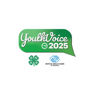 Image of the YouthVoice Logo in scrolling lettering with the 4-H clover and Boys & Girls Club logo underneat