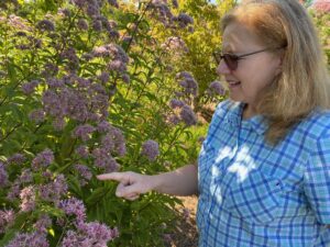 Nancy Anderson counting pollinators