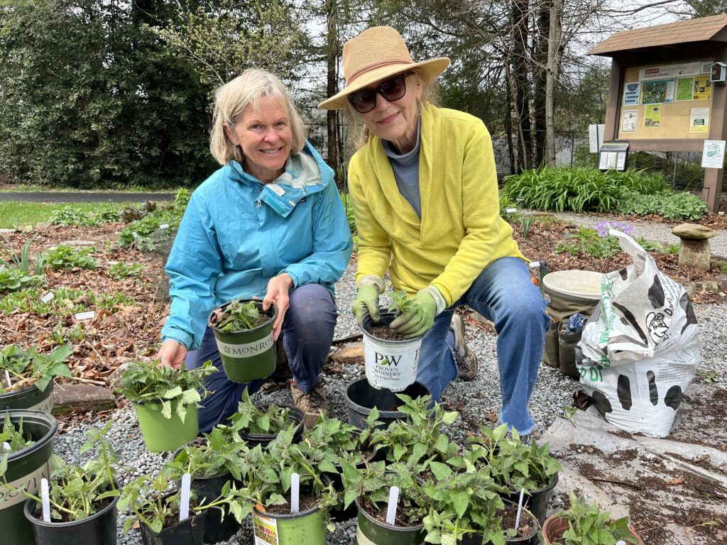 EMGs working in the gardens